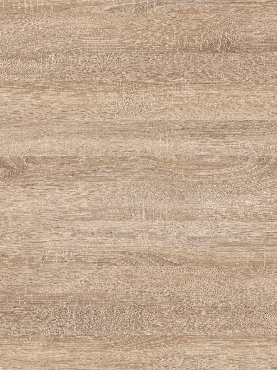Дуб Сонома